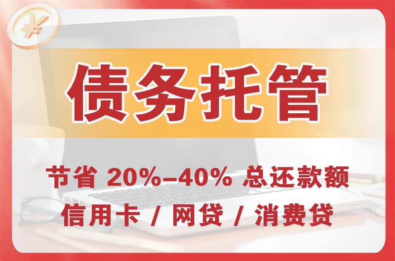 松山湖债务托管